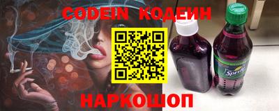 МДПВ Кингисепп