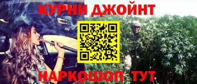 МДПВ Кингисепп