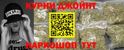 гидра Кинель