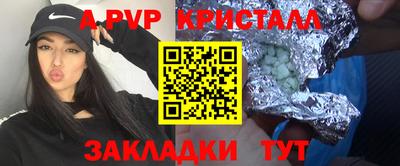 МДПВ Кингисепп