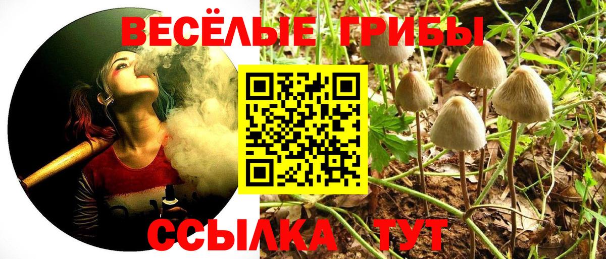 Галлюциногенные грибы ЛСД  Псилоцибиновые грибы мицелий  Вход с VPN  Крымск 